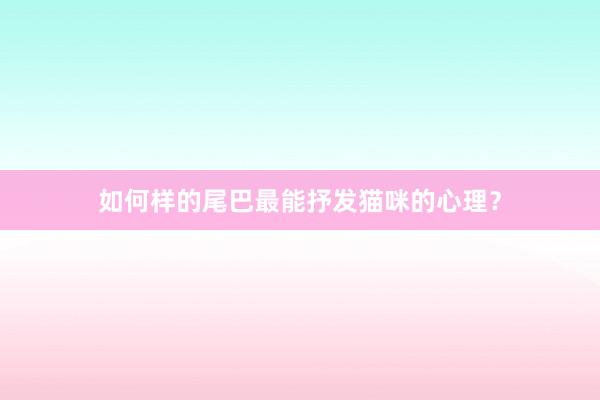 如何样的尾巴最能抒发猫咪的心理？