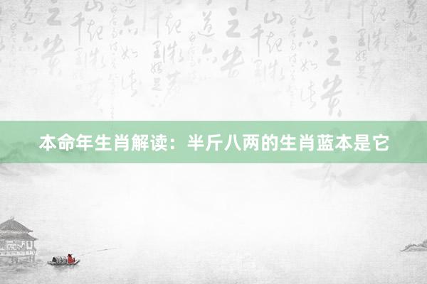 本命年生肖解读：半斤八两的生肖蓝本是它